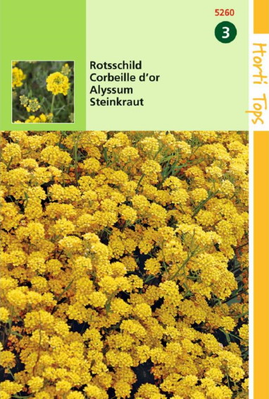 Strand-Silberkraut Goldgelb Fall (Lobularia) 300 Samen HT
